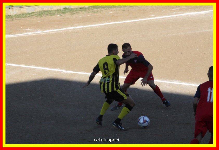 181111 Cepha_Milazzo 086_tn.JPG